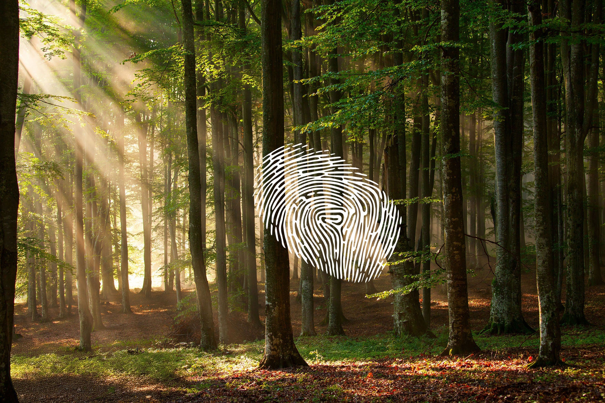 Impegno per la sostenibilità